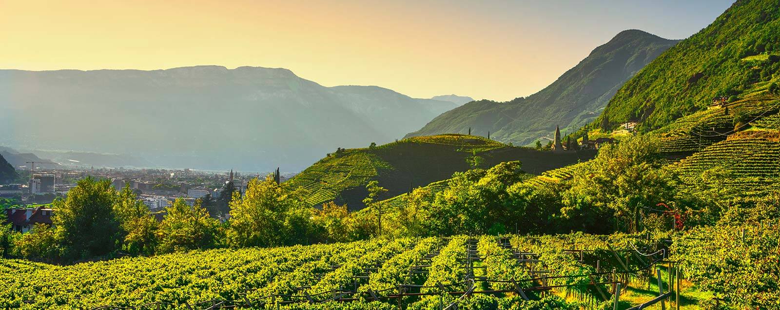 Bolzano and the surrounding area