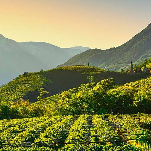 Bolzano and surroundings