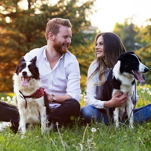 5-star hotel for holidays with your dog